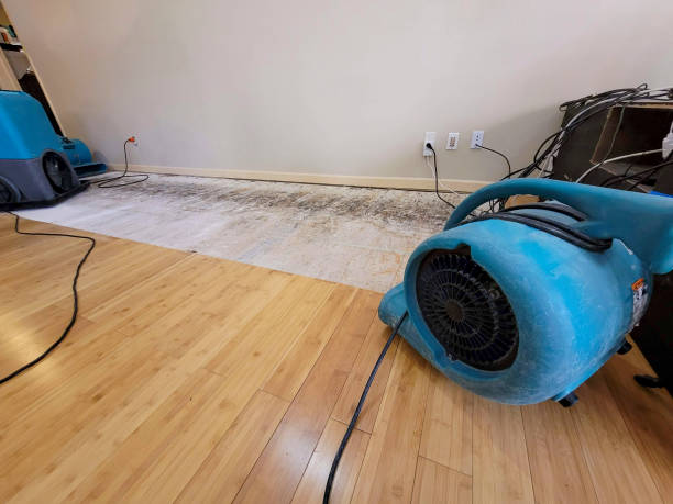 Professional Water Damage Repair technician working in Pleasureville, PA